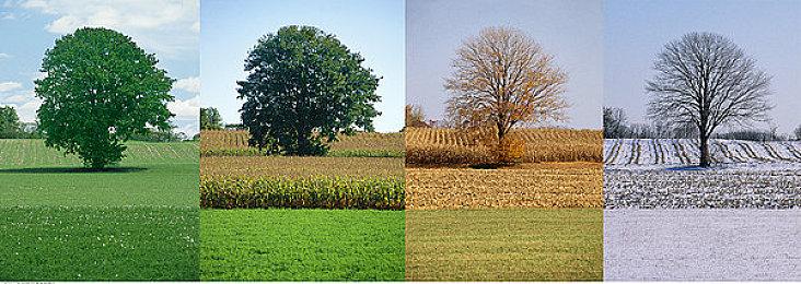 群英荟萃，剑指不朽！KK对战平台DotA专区，S1群英榜福利加码！
